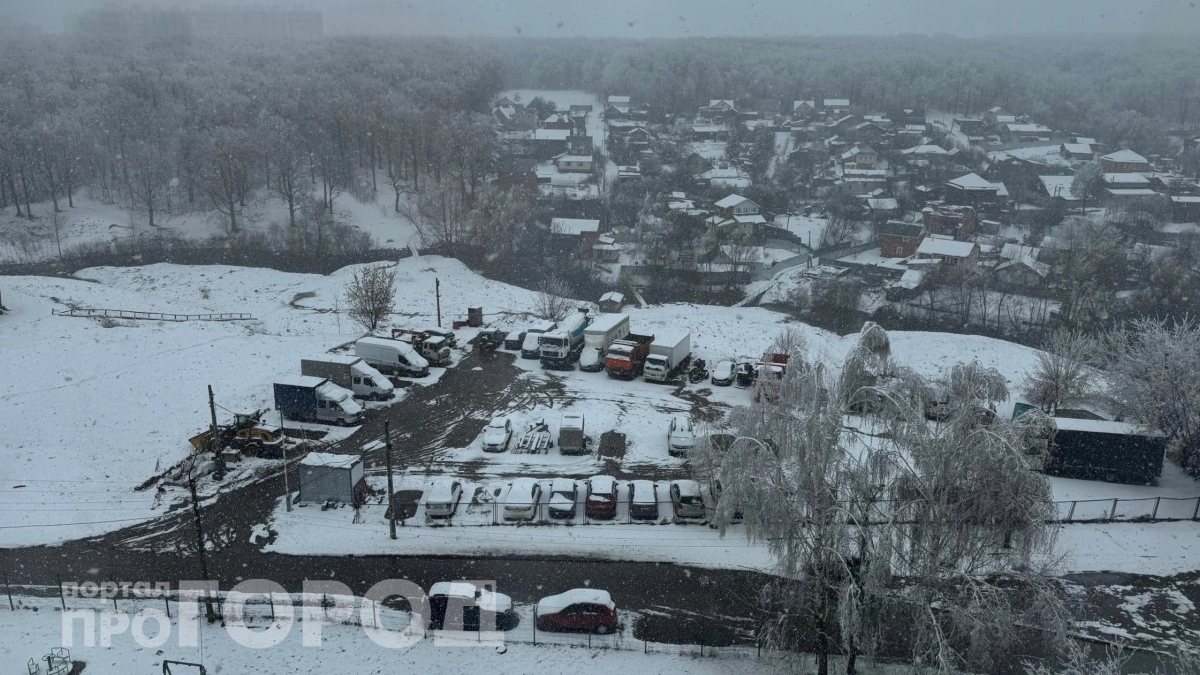 Какое лето сулит снегопад в апреле: каких сюрпризов ждать дачникам и городским жителям 