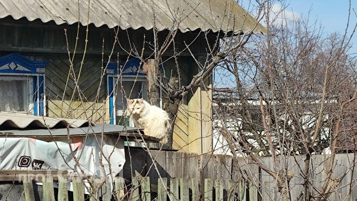 Какие неприятные сюрпризы готовит погода жителям Чувашии в пятницу