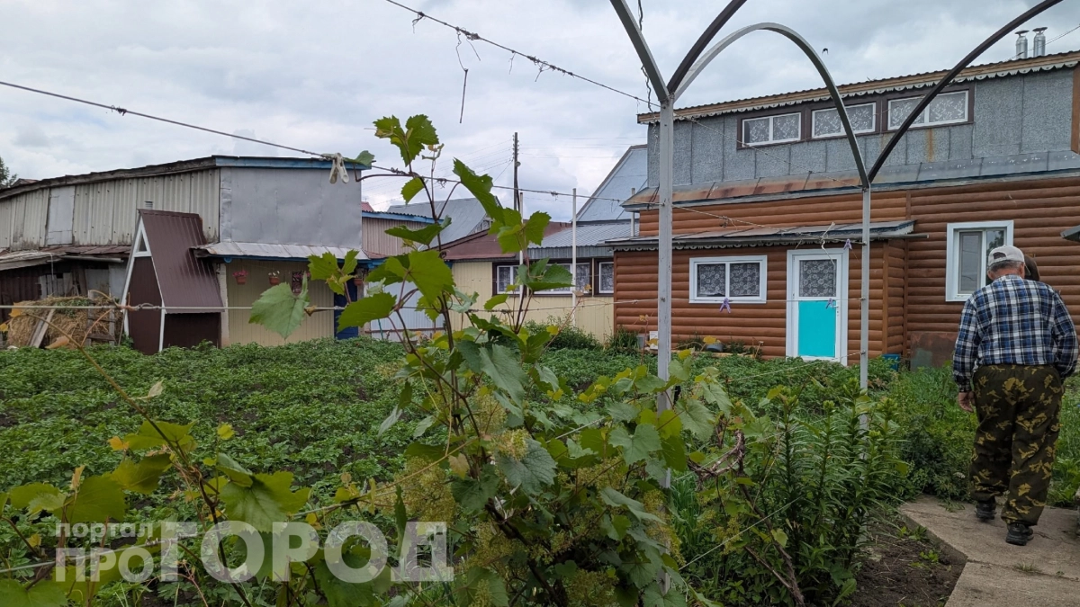 Опрыскиваю этим средством из аптеки весь огород с апреля по июль: урожай некуда девать 