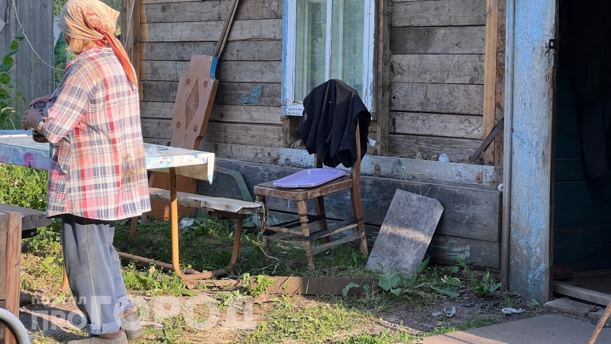 Ни одно насекомое не подойдет на пушечный выстрел: опрыскала грядки этим отваром и забыла про вредителей