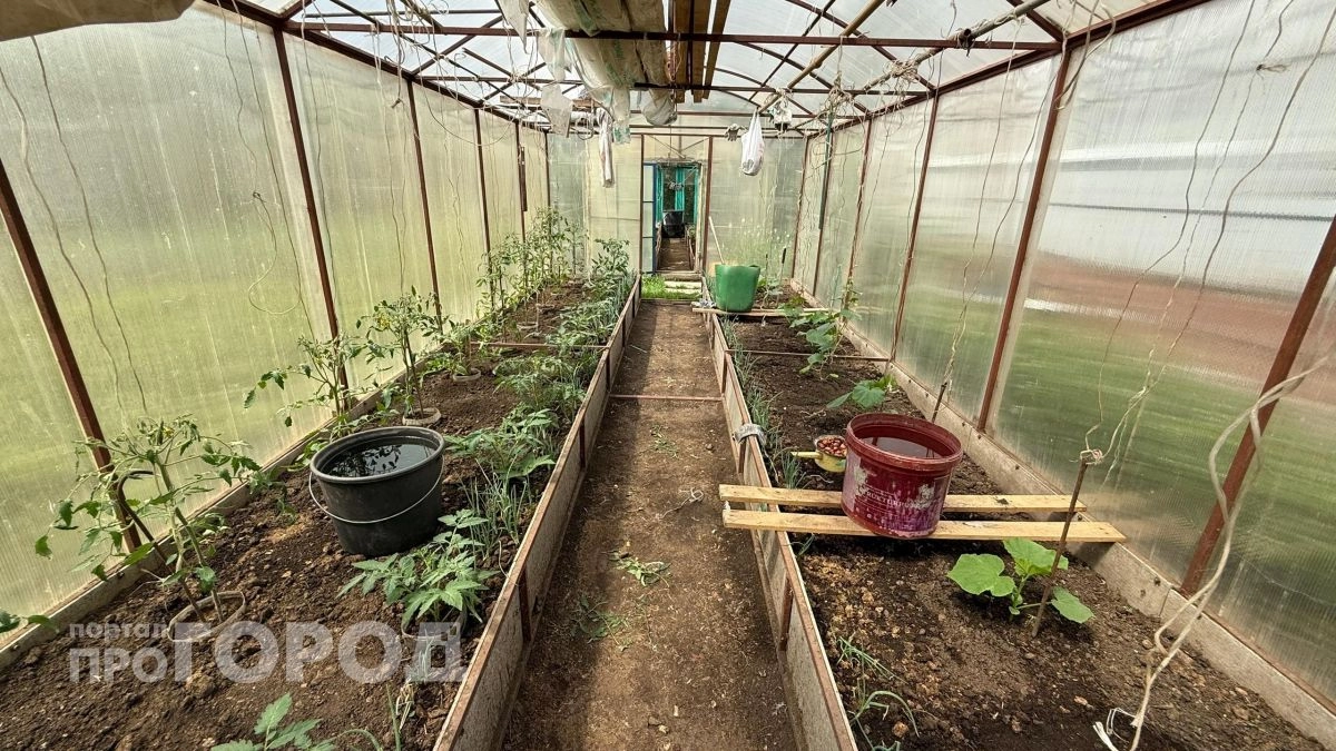 Новые правила для дачников с 1 мая: проверьте свои теплицы сейчас, чтобы избежать крупных штрафов и сноса