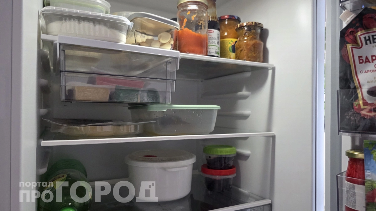 Я прожила 40 лет и не знала: у холодильника есть летний и зимний режимы – как переключить