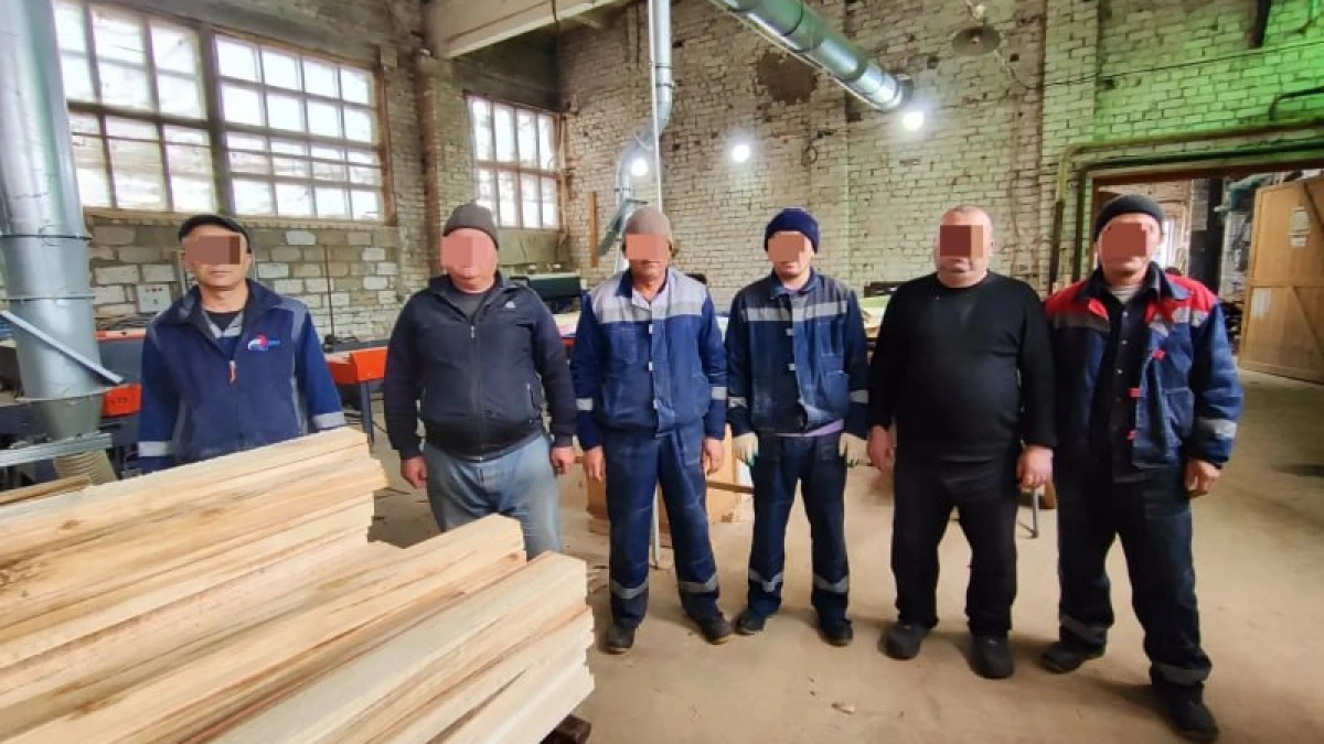 На пилораме в Шумерлинском районе нелегально работали иностранцы 