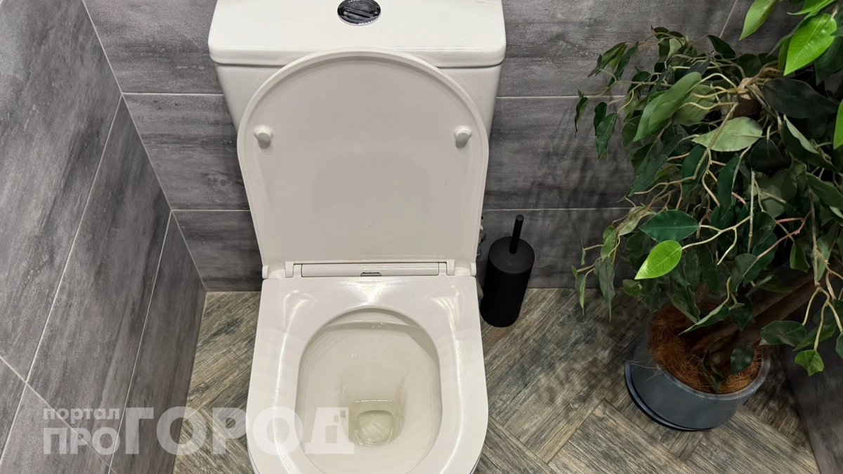 Положите этот предмет в туалетный бачок: подруга смеялась, а теперь постоянно делает так же – всегда чисто