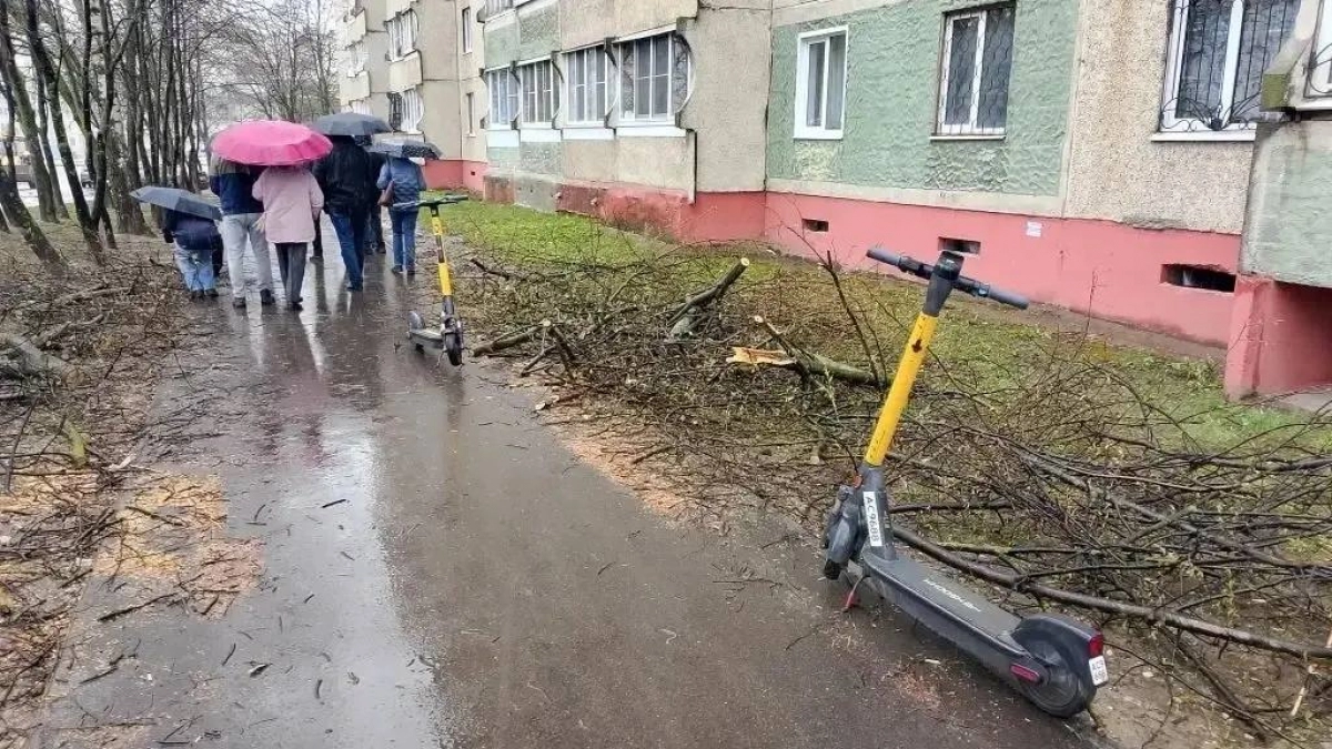 Власти Чебоксар недовольны брошенными самокатами на улицах города