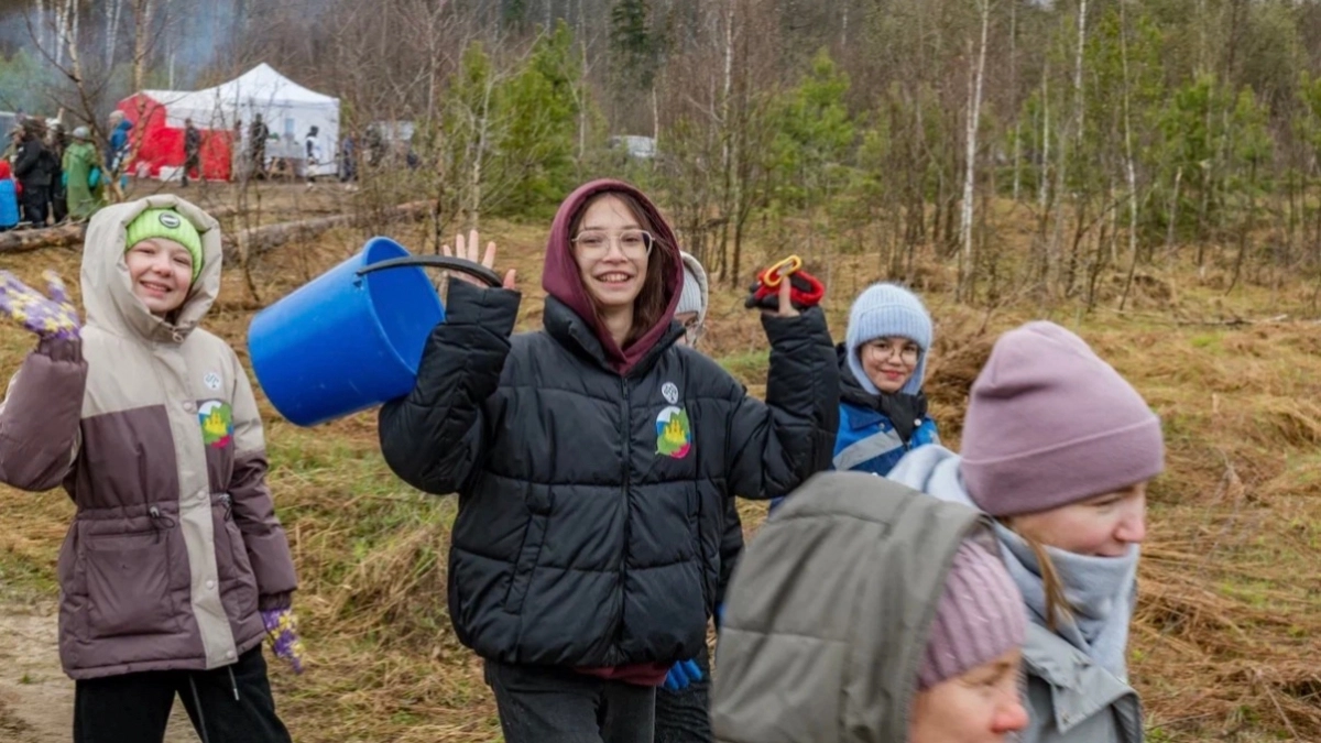 Волонтеры из Чувашии посадили более восьми тысяч сосен за день