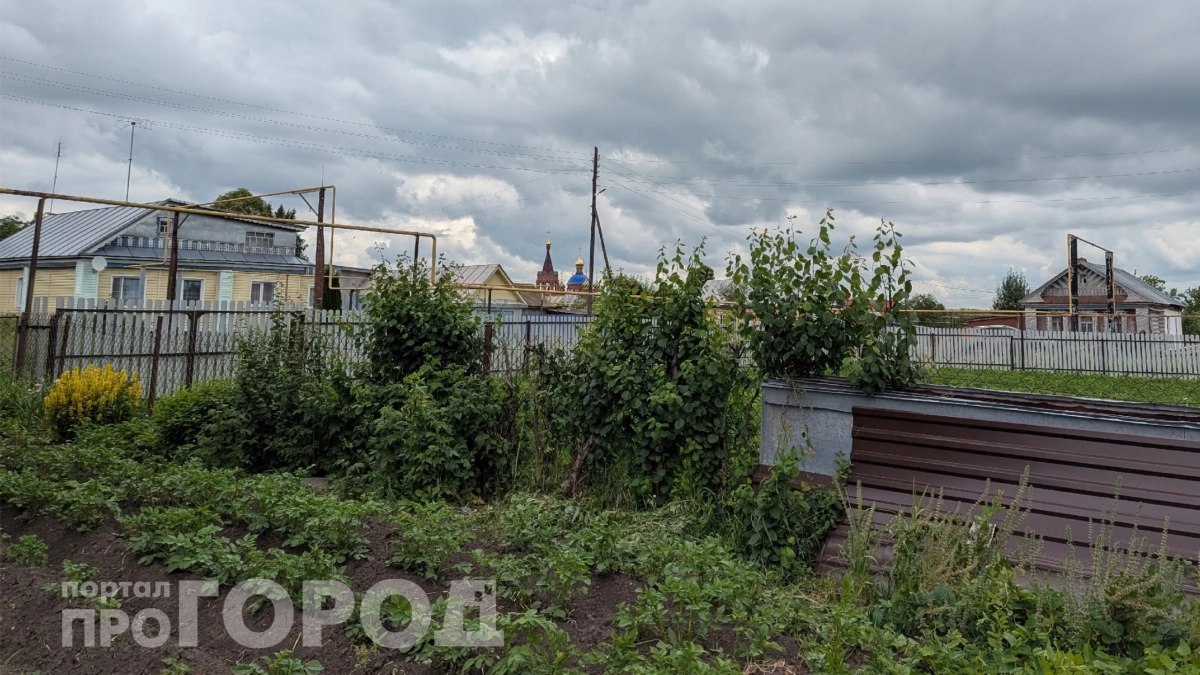 Больше не делаю грядки как бабушка: этот ленивый метод сэкономит вам 10 часов в неделю