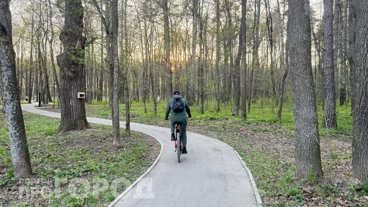 Одни с рождения: у людей этих знаков зодиака нет ангелов-хранителей – часто тяжелая судьба 