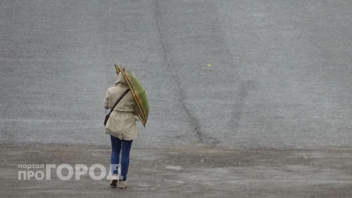 МЧС выпустило срочное предупреждение для жителей Чувашии