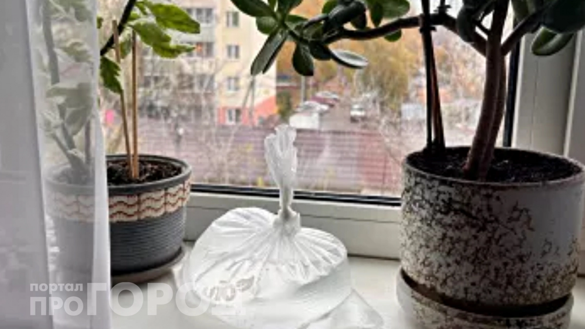 Всегда держу на подоконнике пакет с водой: сосед смеялся, но сделал так же – забыли про надоедливую проблему