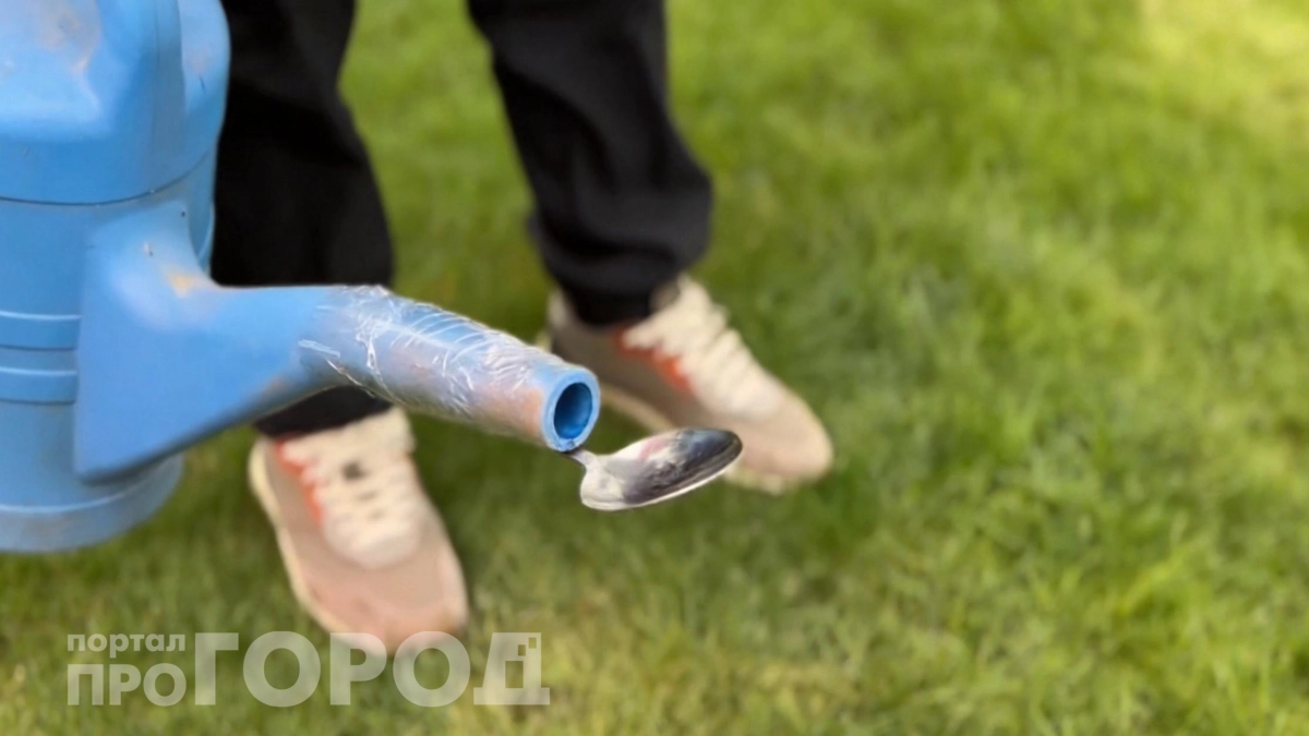 Думал – бред, а это гениально: примотал ложку к лейке и получил лучшую технику полива огорода – экономия воды вдвое