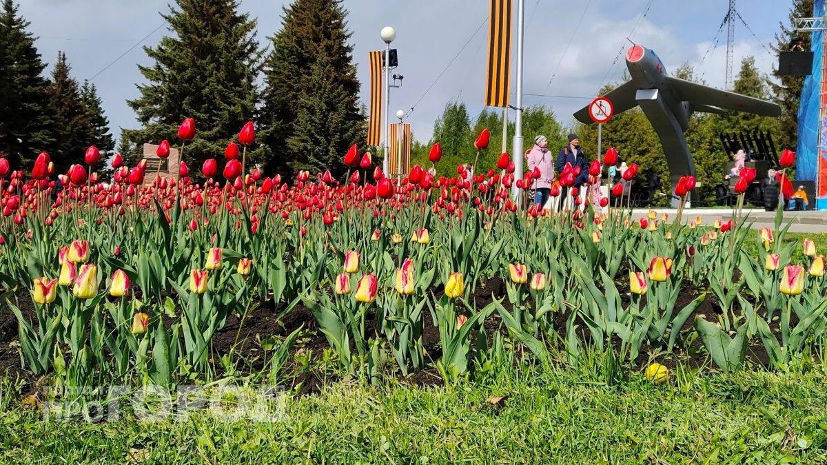 Май наконец-то порадует жителей Чувашии: ожидается потепление выше +20 и сухая погода