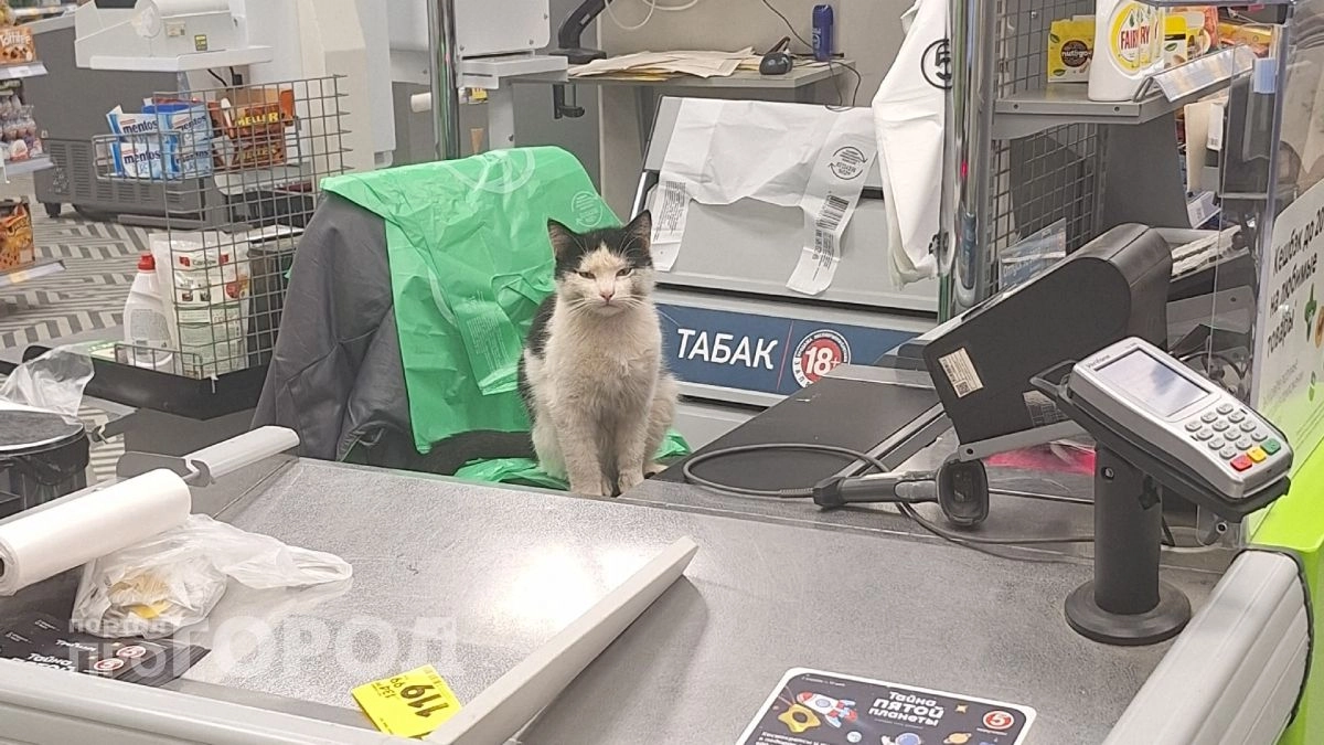 В Чувашии два школьника пронесли мимо кассы продукты, соки, алкоголь и энергетики