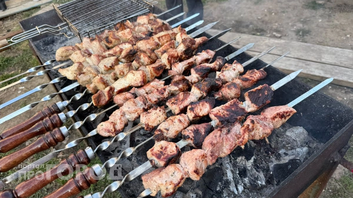 Цены на шашлычный сезон в Чувашии: сколько придется заплатить за традиционный набор продуктов для пикника