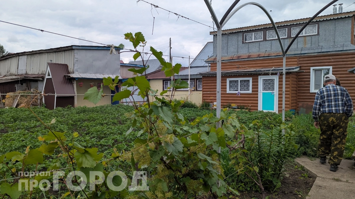 Эти соседи превратят вашу дачу в ад: 5 тихих сигналов, которые нельзя игнорировать