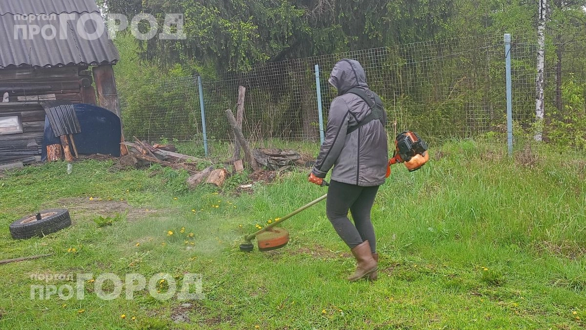Больше не трачу деньги на леску для триммера: нашел безопасную замену, которой пользуется вся Европа