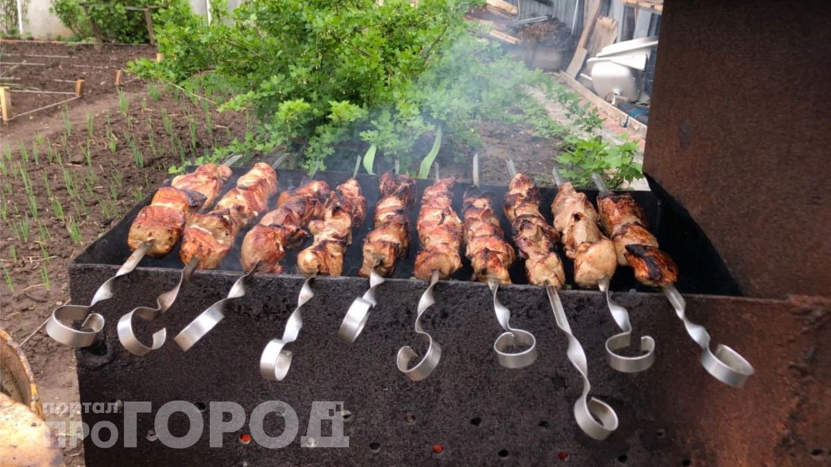 Забудьте о свиной шее: названо самое полезное мясо для шашлыка – в 3 раза лучше говядины и просто тает во рту