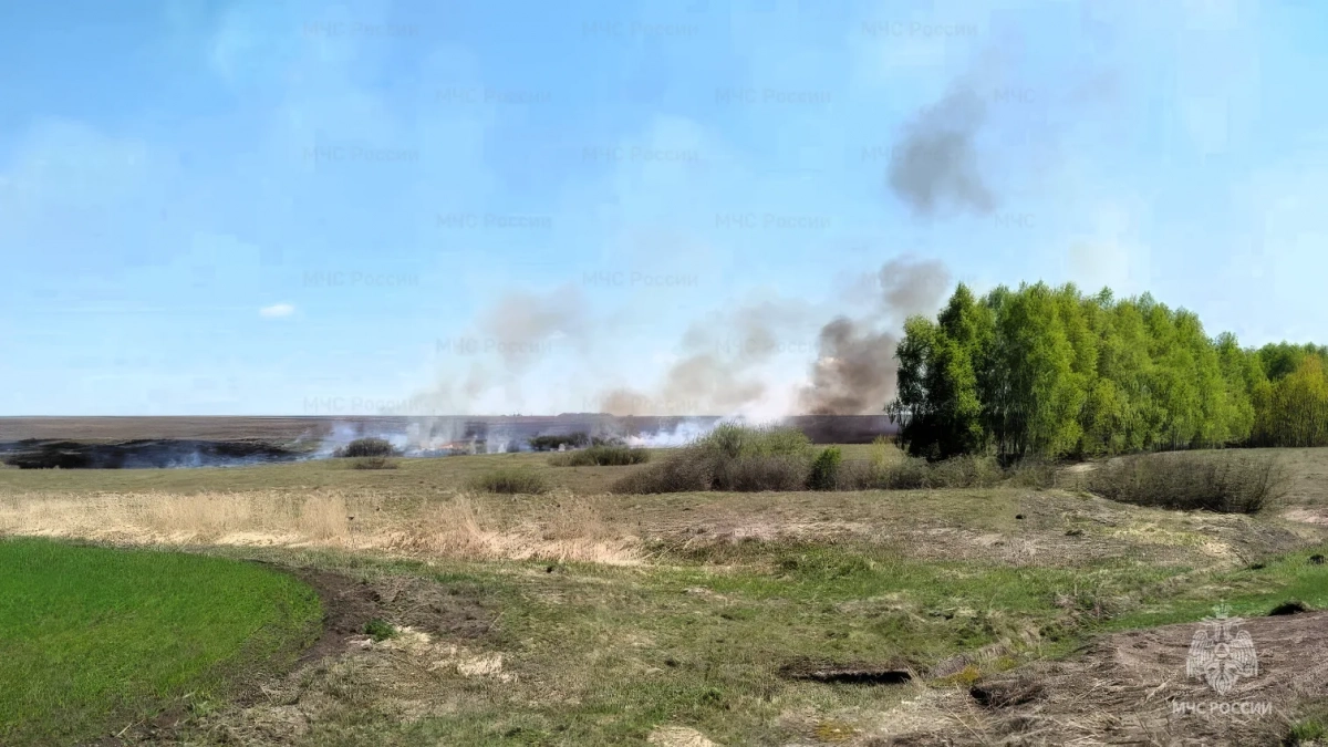 В Алатырском районе вспыхнуло поле