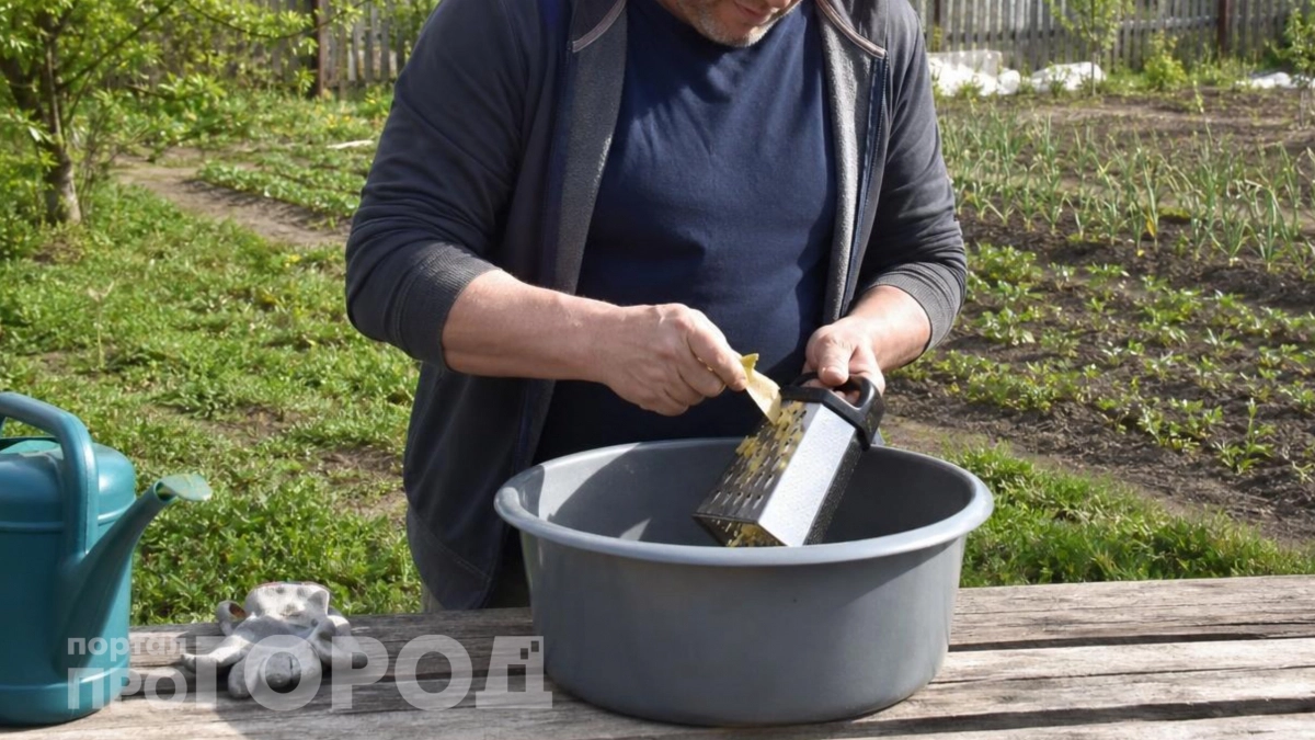 Беру банановую кожуру и натираю: обычные отходы на вес золота в огороде – вот как правильно использую