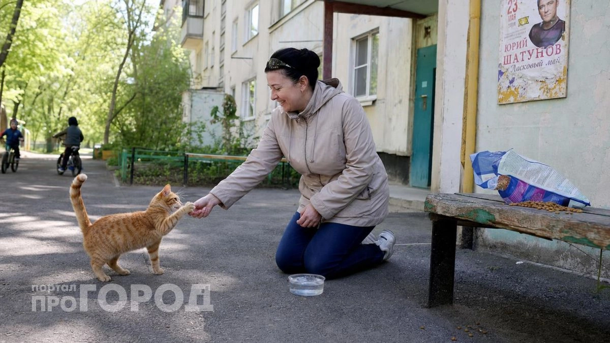 Я не сдержала смех при просмотре этих фото: 15 домашних любимцев, которые устроили полный хаос в доме