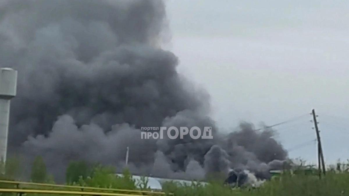 Пожар на заводе, задержания пьяных водителей и планы по развитию региона: главные новости за 11 мая