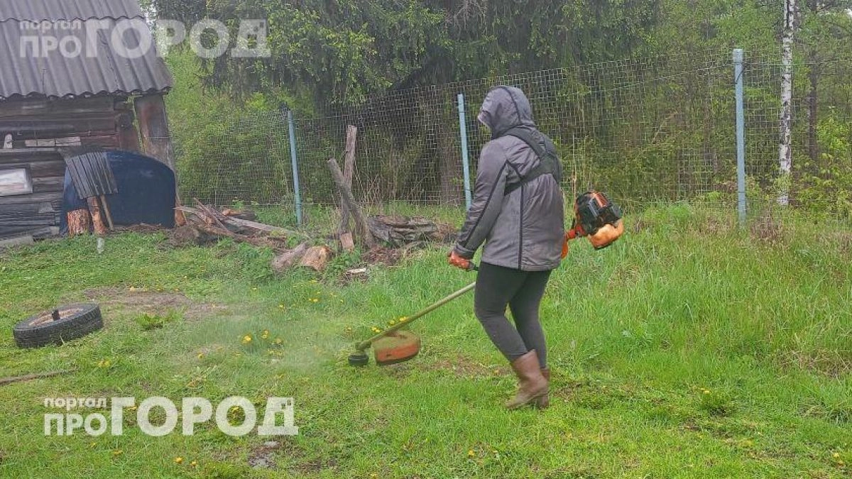Забыл про покупку дорогой лески: теперь кошу траву этим приспособлением по методу продвинутых европейцев