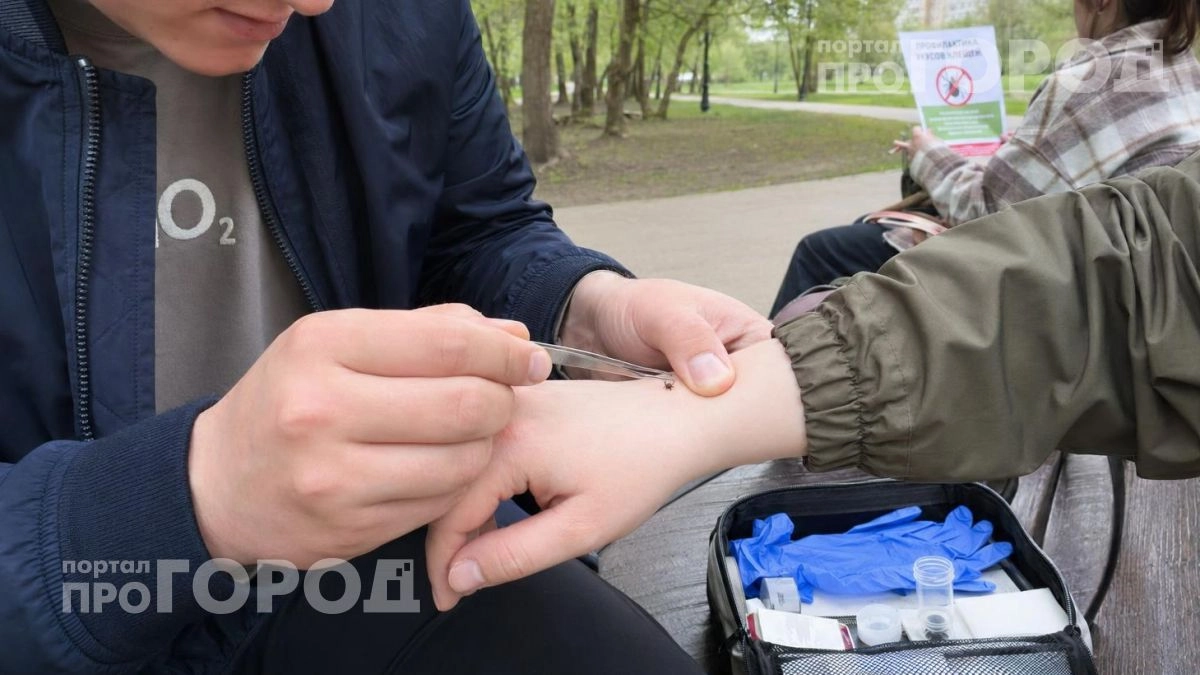 Ваша группа крови как приманка: узнайте, почему клещи выбирают именно вас и как защититься от укуса