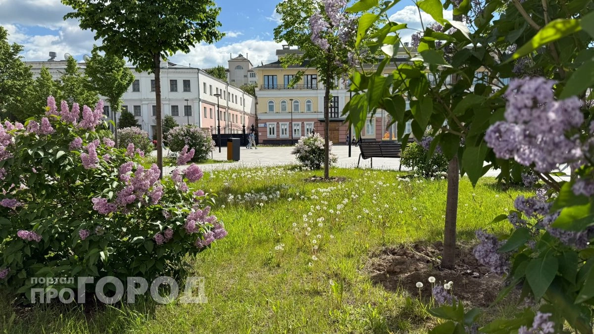 В воскресенье Чувашию ждет летняя жара до +32
