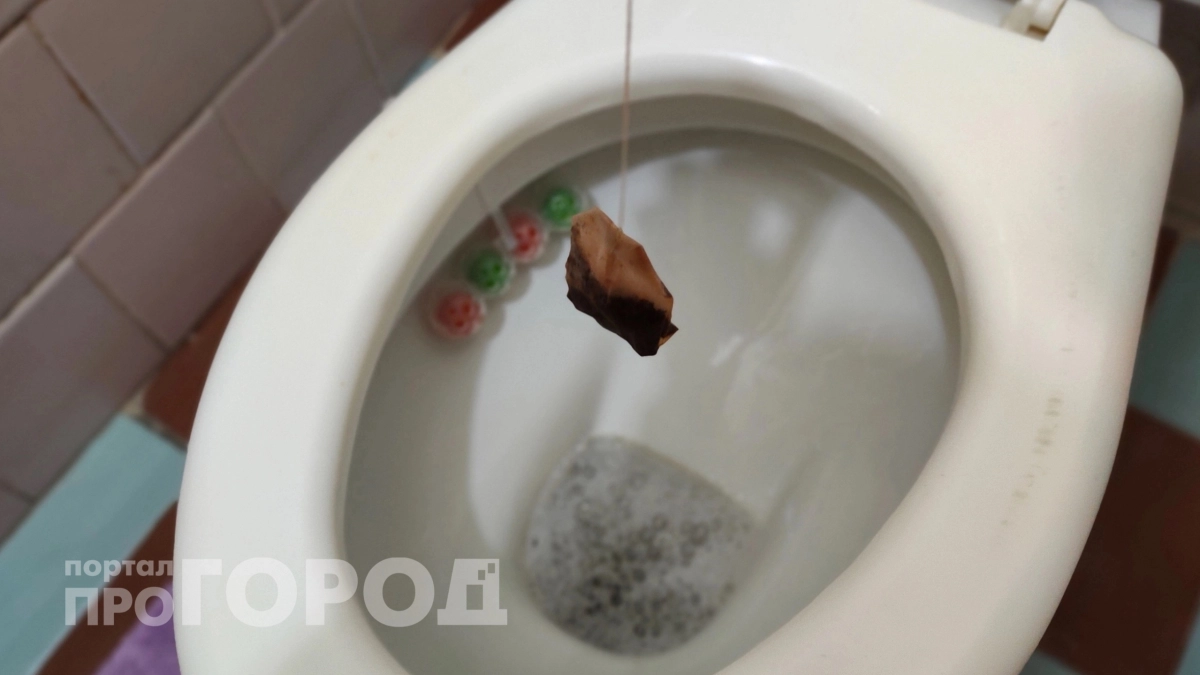 Заменила половину чистящих на чайные пакеты: бросила один в унитаз на ночь – эффект не заставил ждать