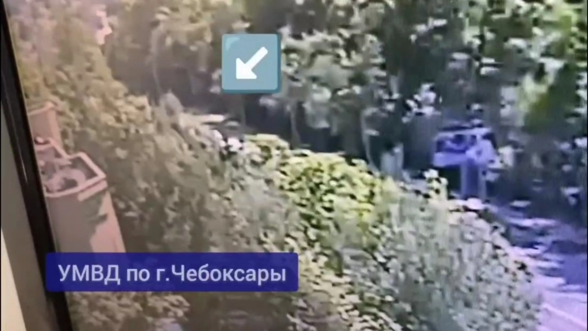 В Чебоксарах велосипедист столкнулся с выбежавшим на дорогу лосем