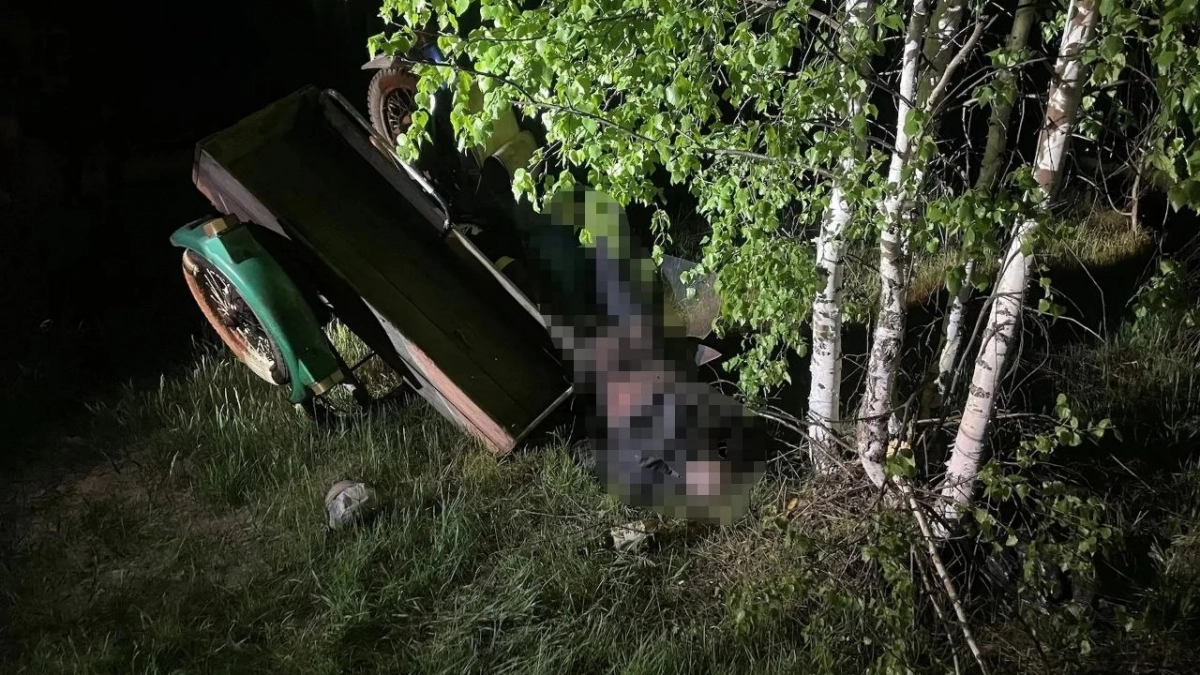 В Чувашии на трассе разбился 41-летний мотоциклист: врезался в дерево и скончался на месте