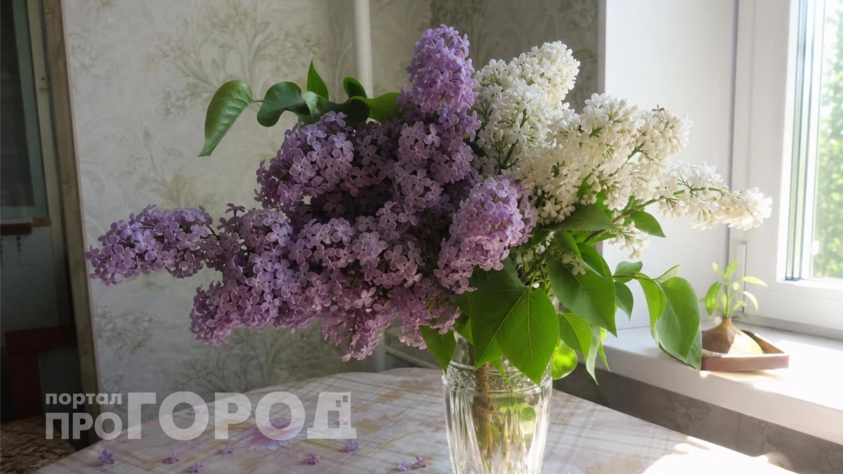 Ни в коем случае не несите домой: ботаник рассказал об опасности сирени