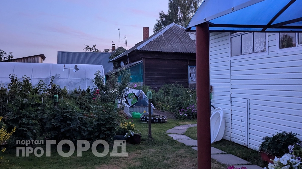 Я отказался от плитки на участке и не пожалел: дорожки за копейки, которые служат 5 лет без трещин и просадок