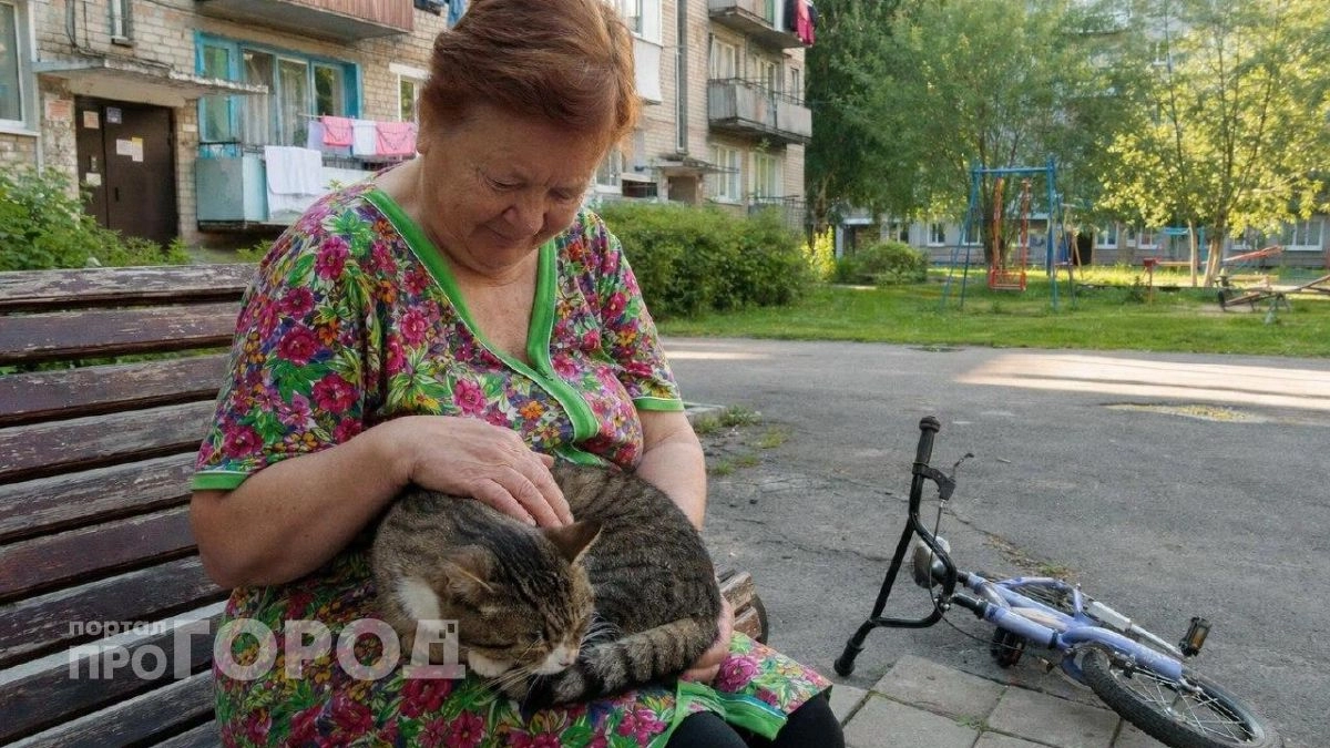 Почему владельцам кошек старше 65 лет грозит серьезная опасность для здоровья: мнение экспертов отрасли