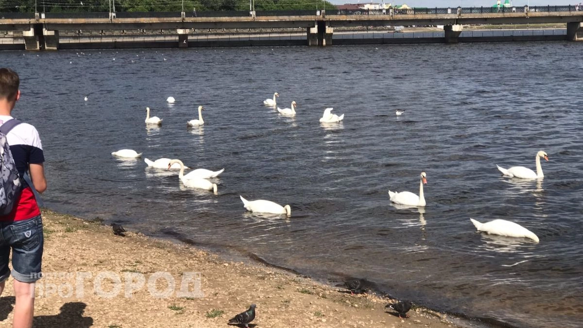 Завтра в Чувашии все еще жарко, но столбики термометра начинают опускаться ниже +30