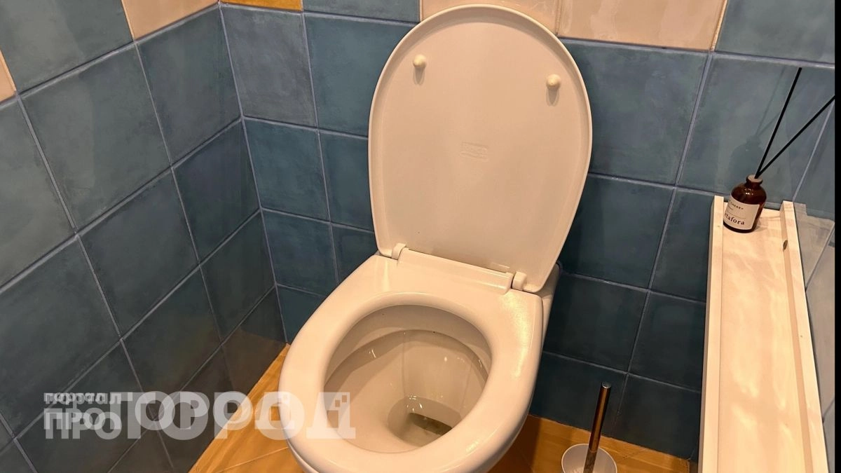 Вы сэкономите тысячи на ремонте канализации: перестаньте смывать эти привычные вещи в унитаз прямо сейчас