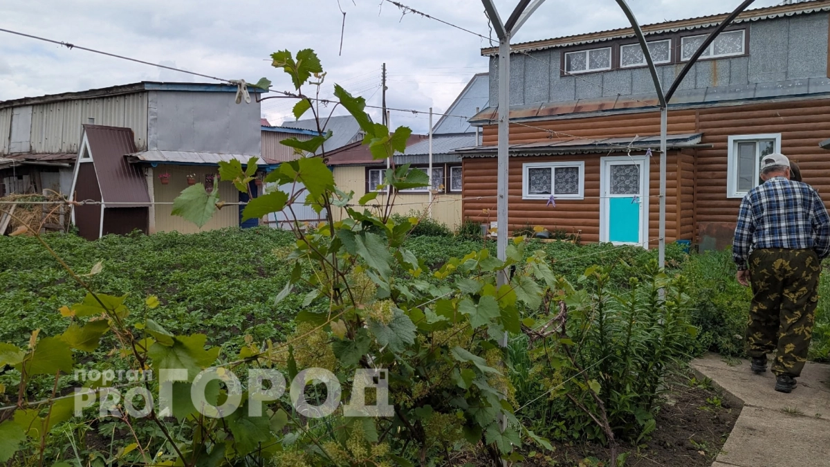 Дачники массово отказываются от тяпки: этот метод обработки земли между грядками навсегда убил сорняки