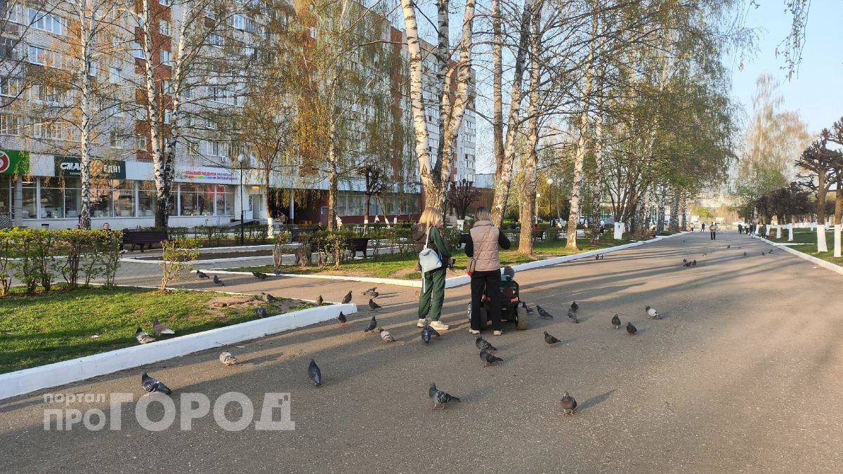 В Чувашии 96 студенток получили деньги от государства за беременность