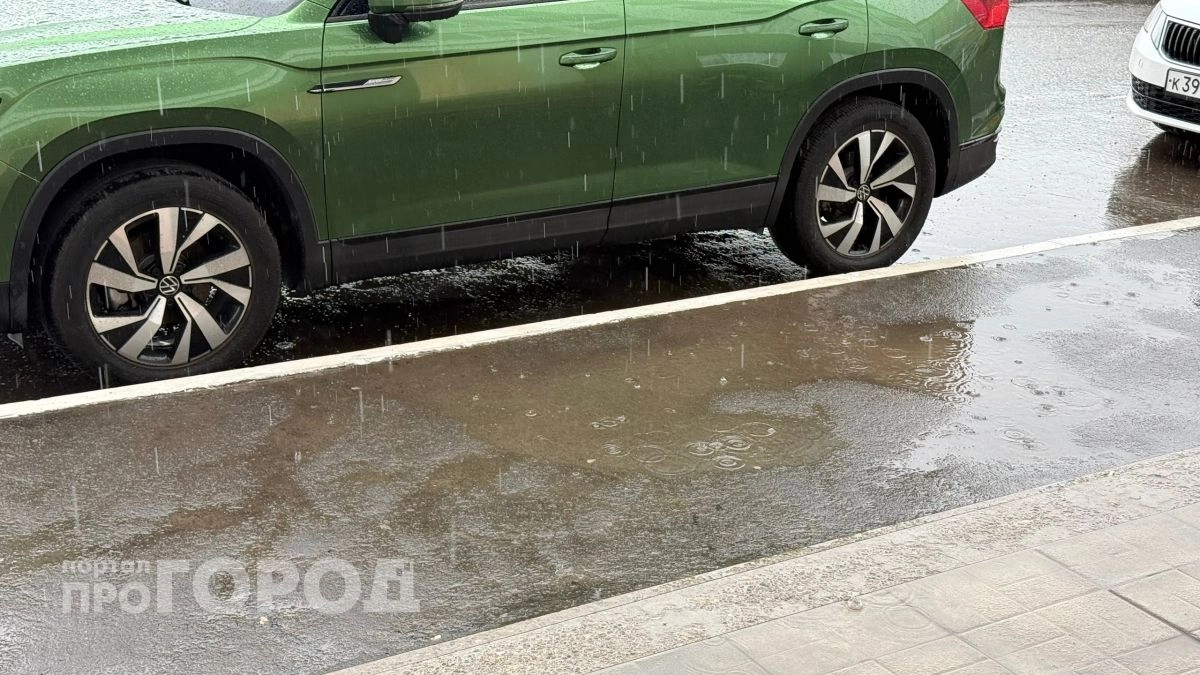 Дожди в большинстве районов: прогноз погоды в Чувашии на 30 мая
