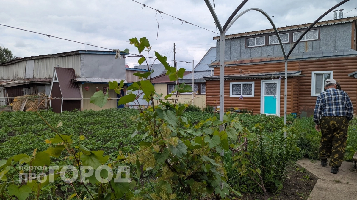 Слизни больше не тронут урожай: дачники раскрыли рабочий метод – химия не нужна