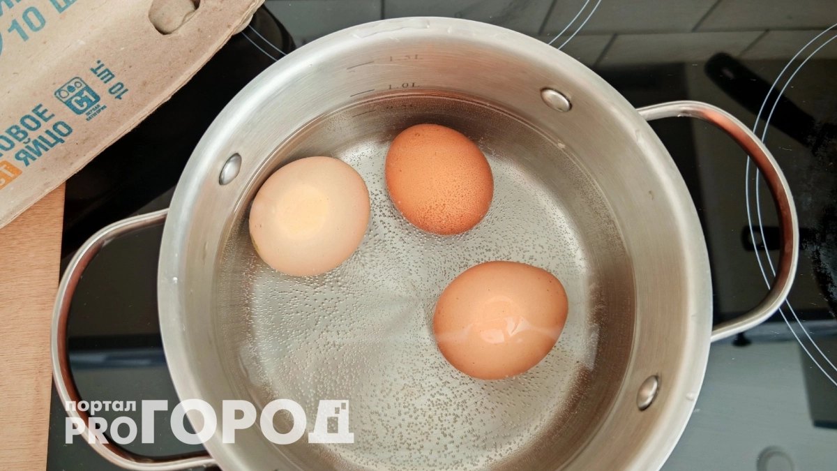 Никогда не выливайте воду после варки яиц: 5 способов применения на огороде и дома