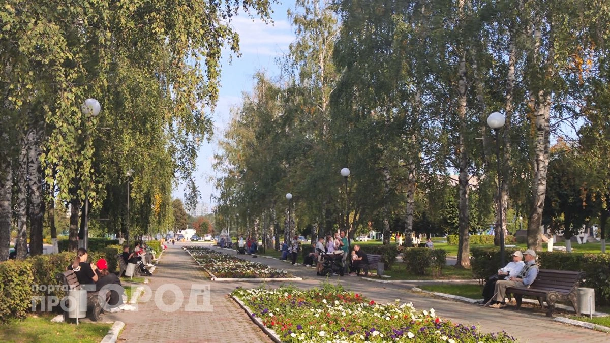 Выяснилось, сколько свободных денег остается у чувашской семьи после основных трат