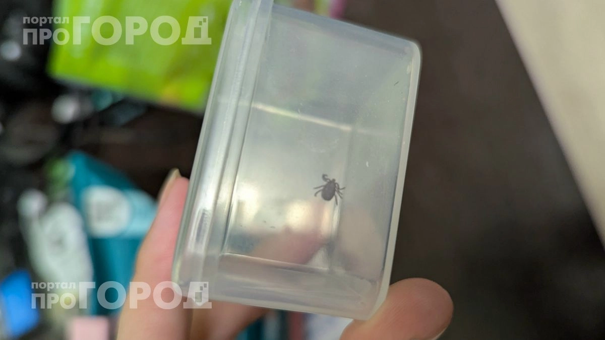 Забудьте про дорогие репелленты: достаточно двух капель этого средства на обувь, чтобы клещи обходили вас стороной