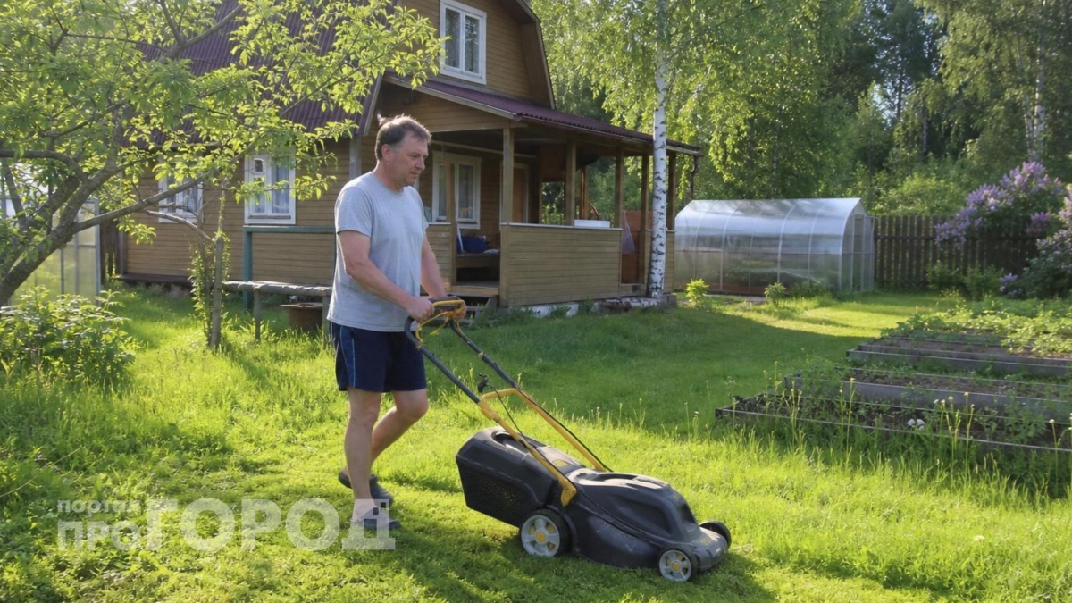 Больше не стригу газон и не сажаю туи: в 2026 году ландшафт меняется – минимум ухода и та же красота