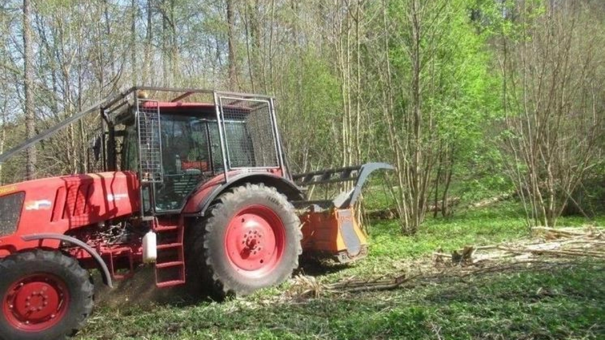 «Чувашэнерго» расчистило 50 гектаров ЛЭП раньше срока