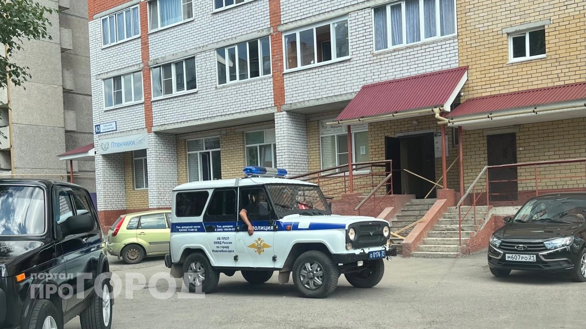 Мать пятерых детей в Чувашии подозревается в присвоении более полумиллиона господдержки