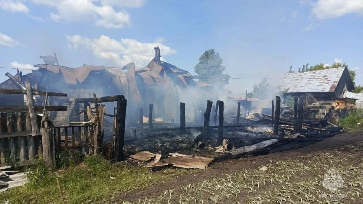 Пожар в Порецком районе унес жизни 14 свиней и сжег дом дотла