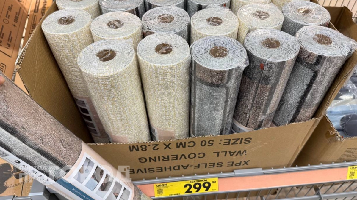 Классические обои уходят в прошлое: в "Чижике" нашли быстрый способ обновить стены за копейки