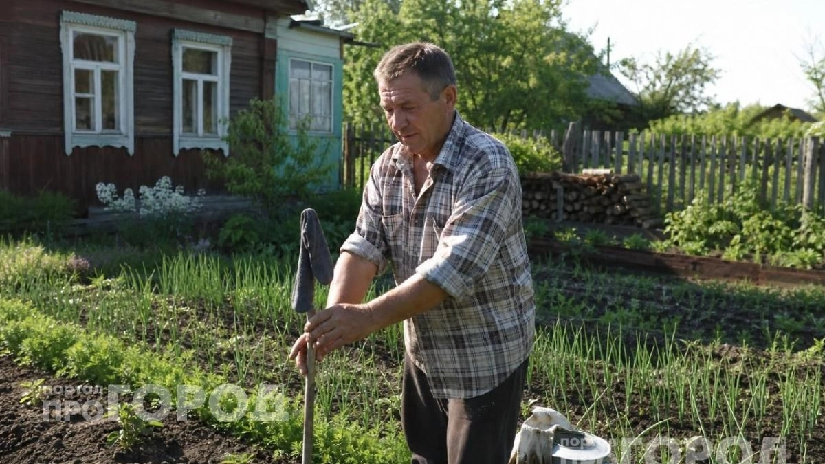 Один старый носок на палке избавит от комаров на весь сезон: копеечная хитрость для комфортного отдыха