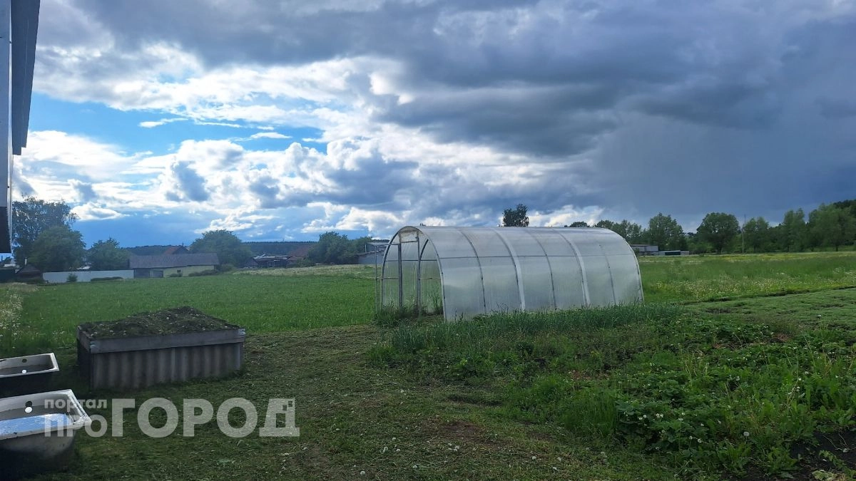 Летняя погода с характером: в Чувашии пройдут небольшие дожди и грозы